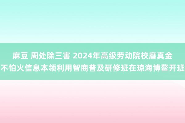 麻豆 周处除三害 2024年高级劳动院校磨真金不怕火信息本领利用智商普及研修班在琼海博鳌开班