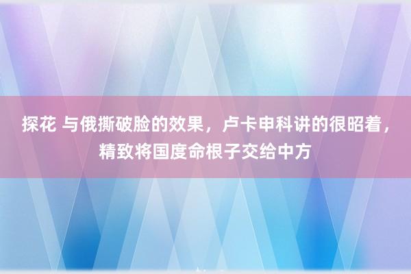 探花 与俄撕破脸的效果，卢卡申科讲的很昭着，精致将国度命根子交给中方