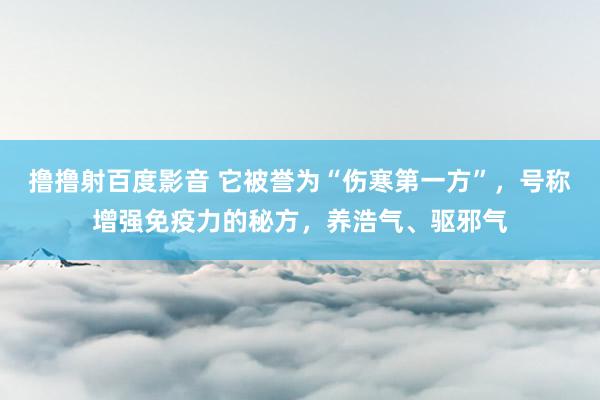 撸撸射百度影音 它被誉为“伤寒第一方”，号称增强免疫力的秘方，养浩气、驱邪气