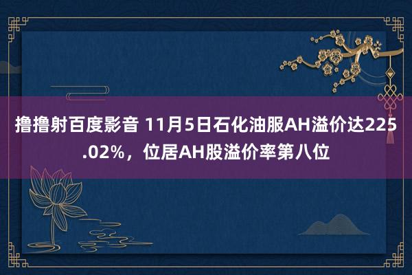 撸撸射百度影音 11月5日石化油服AH溢价达225.02%，位居AH股溢价率第八位