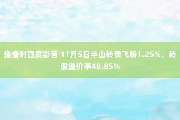 撸撸射百度影音 11月5日丰山转债飞腾1.25%，转股溢价率48.85%