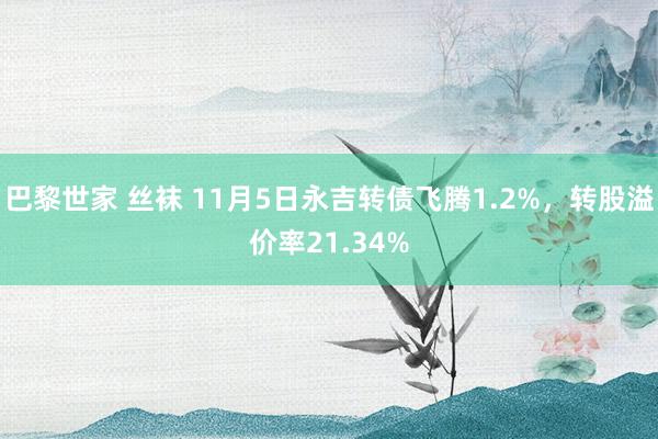 巴黎世家 丝袜 11月5日永吉转债飞腾1.2%，转股溢价率21.34%