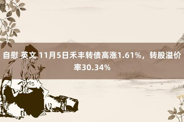 自慰 英文 11月5日禾丰转债高涨1.61%，转股溢价率30.34%