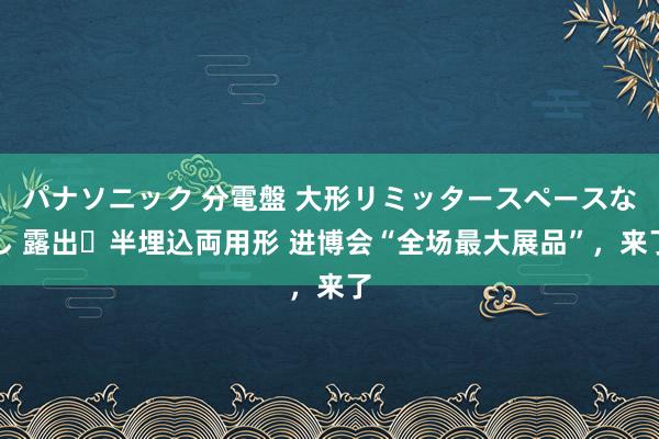 パナソニック 分電盤 大形リミッタースペースなし 露出・半埋込両用形 进博会“全场最大展品”，来了