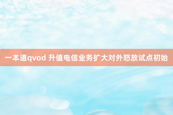 一本道qvod 升值电信业务扩大对外怒放试点初始