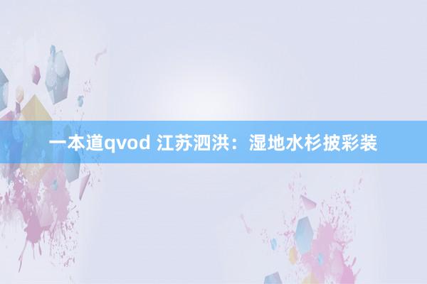 一本道qvod 江苏泗洪：湿地水杉披彩装