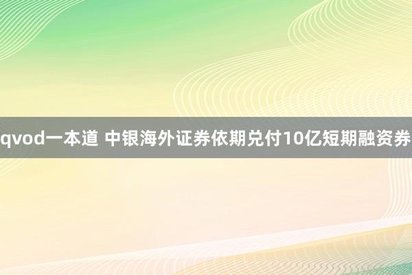 qvod一本道 中银海外证券依期兑付10亿短期融资券