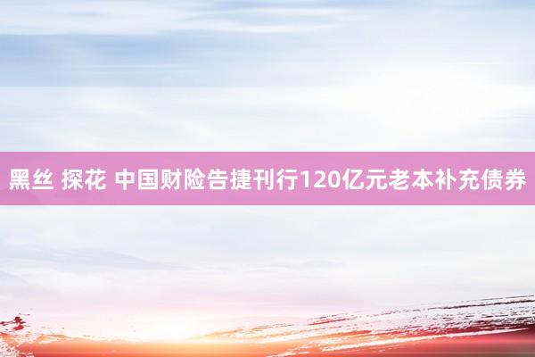 黑丝 探花 中国财险告捷刊行120亿元老本补充债券