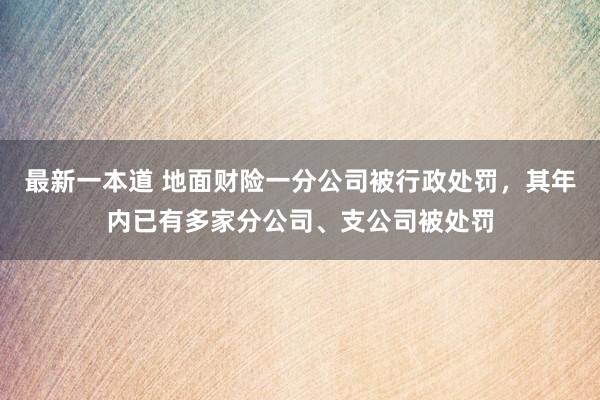 最新一本道 地面财险一分公司被行政处罚，其年内已有多家分公司、支公司被处罚