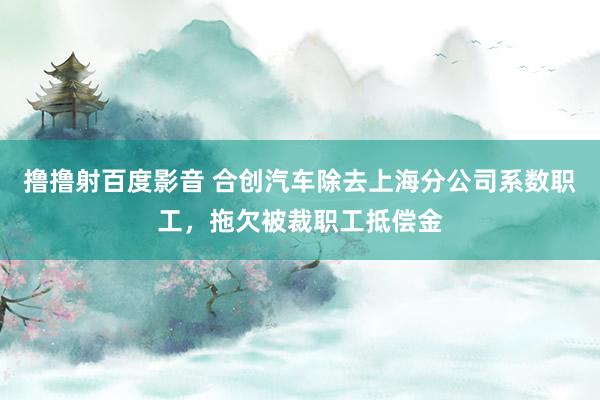 撸撸射百度影音 合创汽车除去上海分公司系数职工，拖欠被裁职工抵偿金