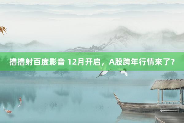 撸撸射百度影音 12月开启，A股跨年行情来了？