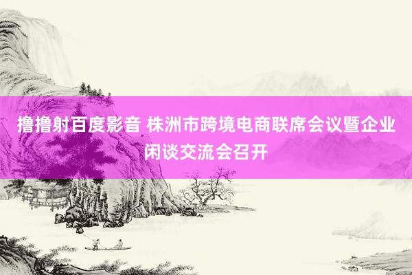 撸撸射百度影音 株洲市跨境电商联席会议暨企业闲谈交流会召开