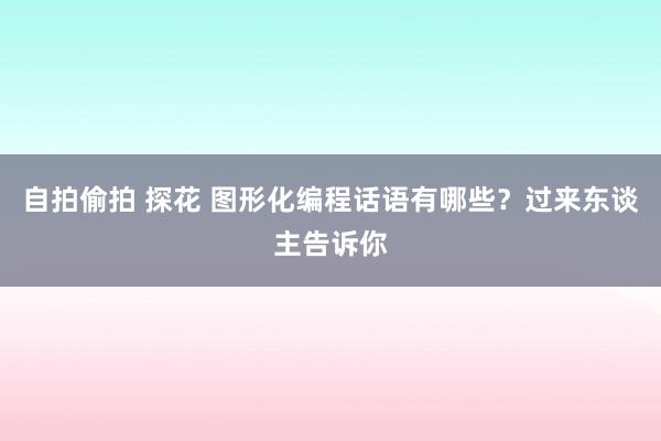 自拍偷拍 探花 图形化编程话语有哪些？过来东谈主告诉你