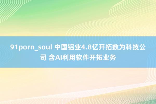 91porn_soul 中国铝业4.8亿开拓数为科技公司 含AI利用软件开拓业务