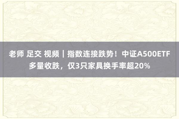 老师 足交 视频｜指数连接跌势！中证A500ETF多量收跌，仅3只家具换手率超20%