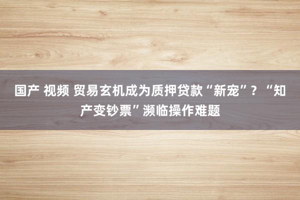 国产 视频 贸易玄机成为质押贷款“新宠”？“知产变钞票”濒临操作难题