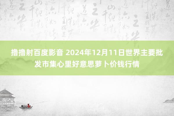 撸撸射百度影音 2024年12月11日世界主要批发市集心里好意思萝卜价钱行情