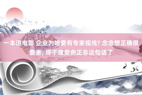 一本道电影 企业为啥要有专家视线? 念念想正确很要害， 终于理受命正非这句话了