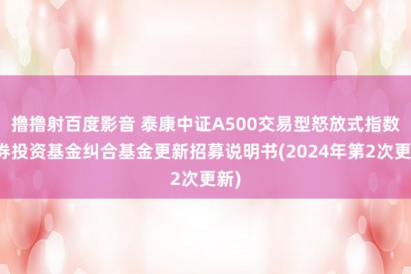 撸撸射百度影音 泰康中证A500交易型怒放式指数证券投资基金纠合基金更新招募说明书(2024年第2次更新)