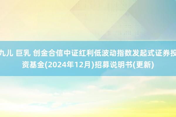 九儿 巨乳 创金合信中证红利低波动指数发起式证券投资基金(2024年12月)招募说明书(更新)