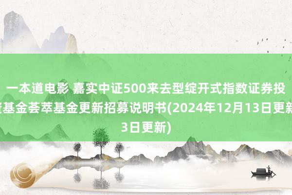 一本道电影 嘉实中证500来去型绽开式指数证券投资基金荟萃基金更新招募说明书(2024年12月13日更新)