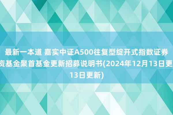 最新一本道 嘉实中证A500往复型绽开式指数证券投资基金聚首基金更新招募说明书(2024年12月13日更新)