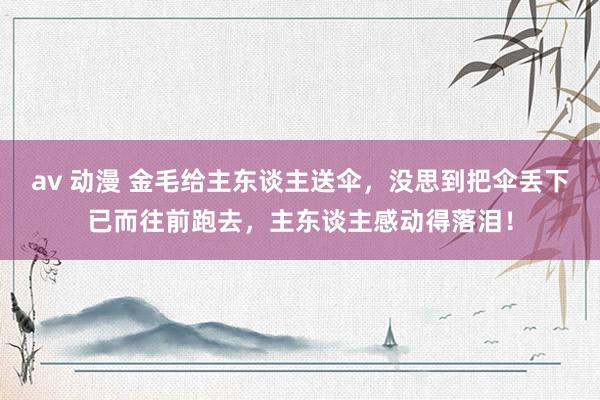 av 动漫 金毛给主东谈主送伞，没思到把伞丢下已而往前跑去，主东谈主感动得落泪！