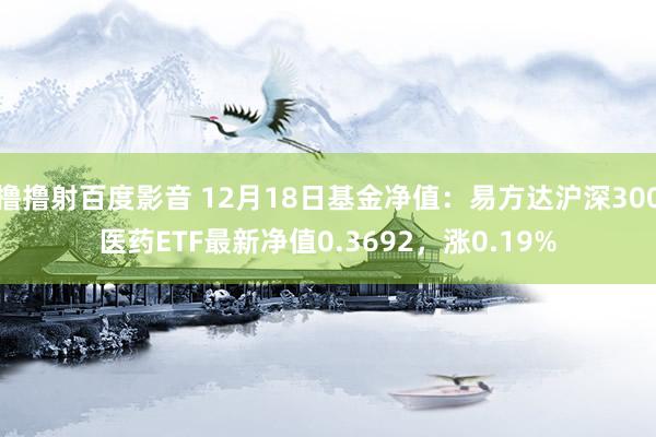 撸撸射百度影音 12月18日基金净值：易方达沪深300医药ETF最新净值0.3692，涨0.19%