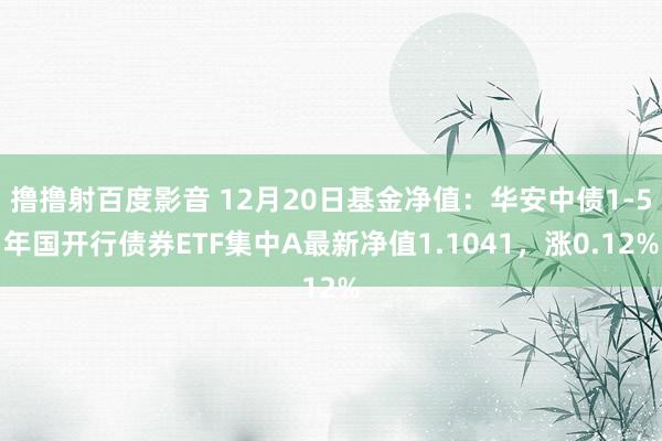 撸撸射百度影音 12月20日基金净值：华安中债1-5年国开行债券ETF集中A最新净值1.1041，涨0.12%