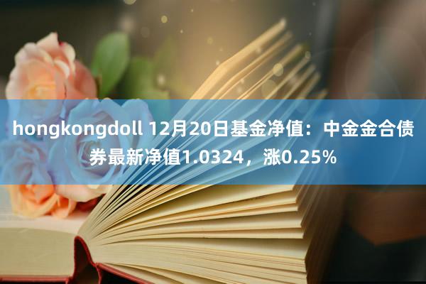 hongkongdoll 12月20日基金净值：中金金合债券最新净值1.0324，涨0.25%