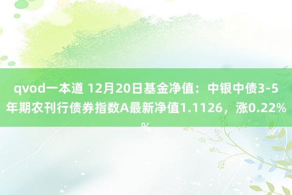 qvod一本道 12月20日基金净值：中银中债3-5年期农刊行债券指数A最新净值1.1126，涨0.22%