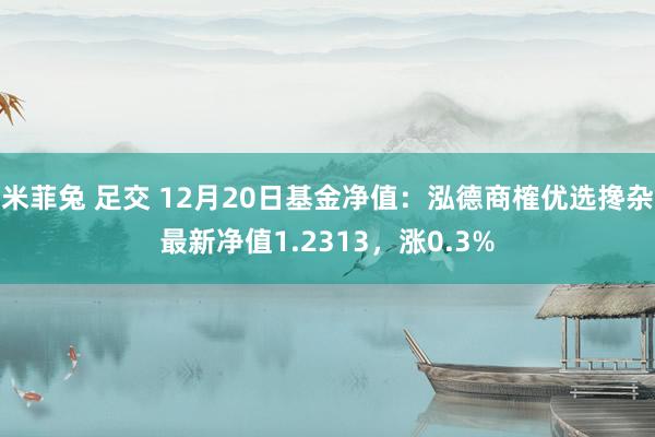 米菲兔 足交 12月20日基金净值：泓德商榷优选搀杂最新净值1.2313，涨0.3%