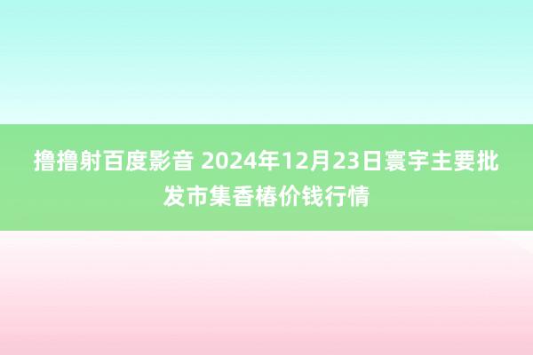 撸撸射百度影音 2024年12月23日寰宇主要批发市集香椿价钱行情