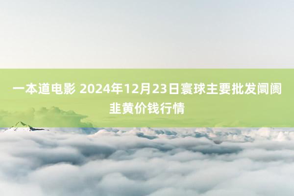 一本道电影 2024年12月23日寰球主要批发阛阓韭黄价钱行情