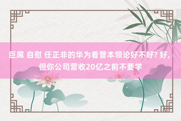 巨屌 自慰 任正非的华为看管本领论好不好? 好， 但你公司营收20亿之前不要学