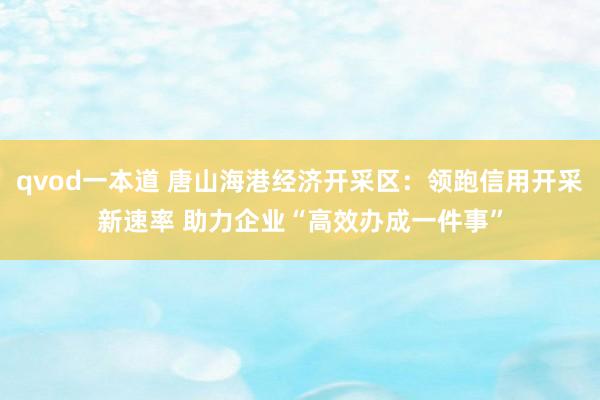 qvod一本道 唐山海港经济开采区：领跑信用开采新速率 助力企业“高效办成一件事”