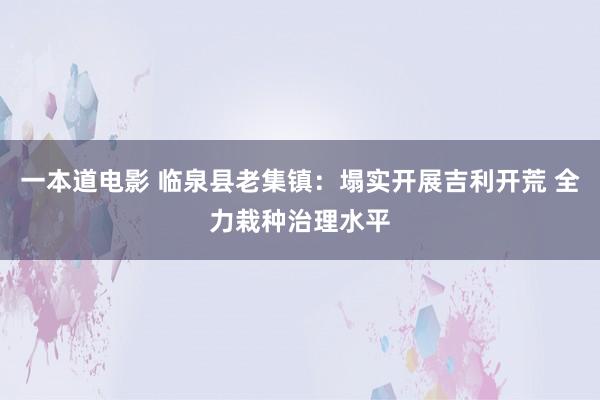 一本道电影 临泉县老集镇：塌实开展吉利开荒 全力栽种治理水平