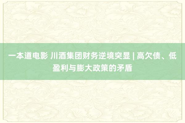 一本道电影 川酒集团财务逆境突显 | 高欠债、低盈利与膨大政策的矛盾