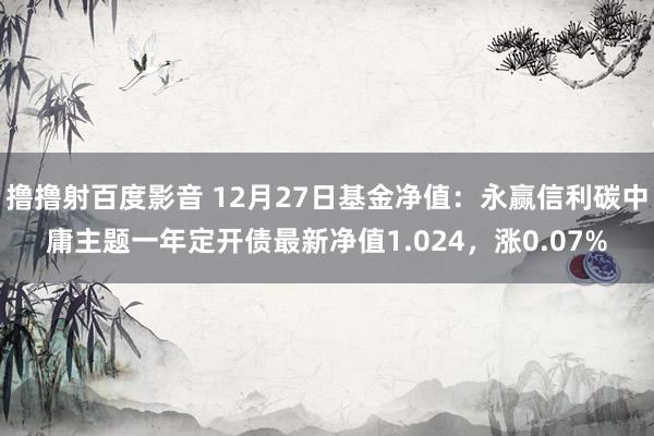 撸撸射百度影音 12月27日基金净值：永赢信利碳中庸主题一年定开债最新净值1.024，涨0.07%