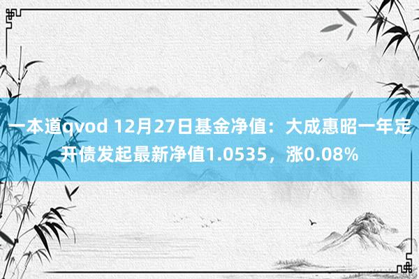 一本道qvod 12月27日基金净值：大成惠昭一年定开债发起最新净值1.0535，涨0.08%