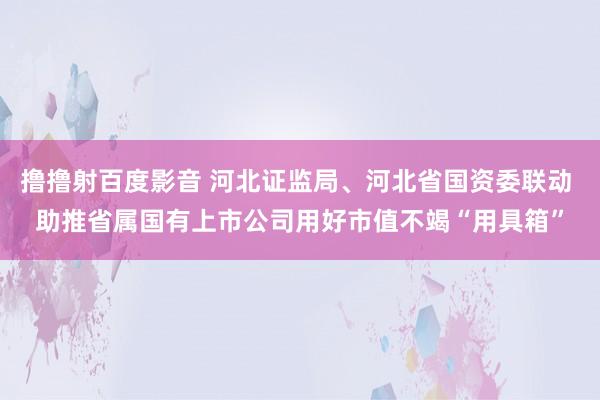 撸撸射百度影音 河北证监局、河北省国资委联动 助推省属国有上市公司用好市值不竭“用具箱”