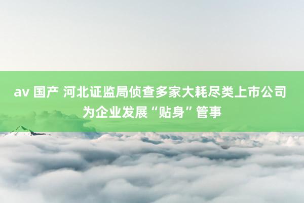 av 国产 河北证监局侦查多家大耗尽类上市公司 为企业发展“贴身”管事