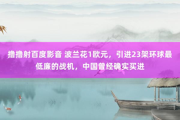 撸撸射百度影音 波兰花1欧元，引进23架环球最低廉的战机，中国曾经确实买进