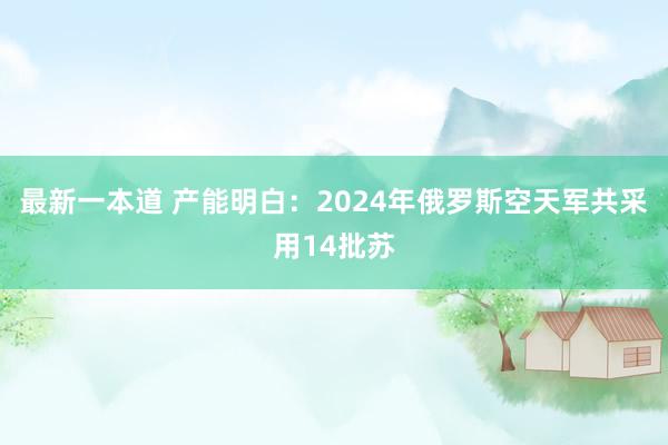 最新一本道 产能明白：2024年俄罗斯空天军共采用14批苏