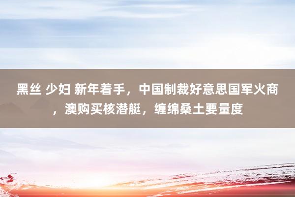 黑丝 少妇 新年着手，中国制裁好意思国军火商，澳购买核潜艇，缠绵桑土要量度