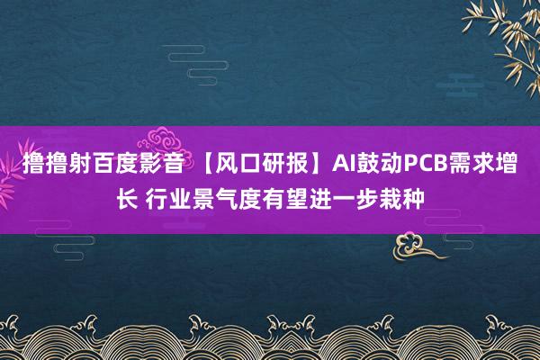 撸撸射百度影音 【风口研报】AI鼓动PCB需求增长 行业景气度有望进一步栽种