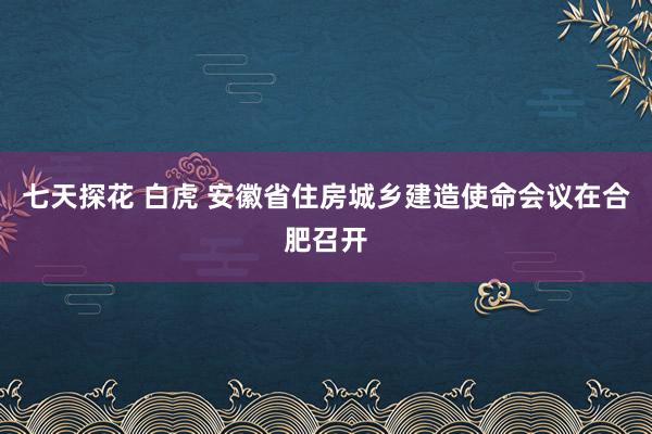 七天探花 白虎 安徽省住房城乡建造使命会议在合肥召开