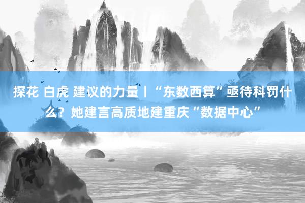 探花 白虎 建议的力量丨“东数西算”亟待科罚什么？她建言高质地建重庆“数据中心”