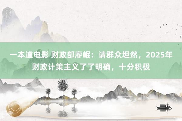 一本道电影 财政部廖岷：请群众坦然，2025年财政计策主义了了明确，十分积极