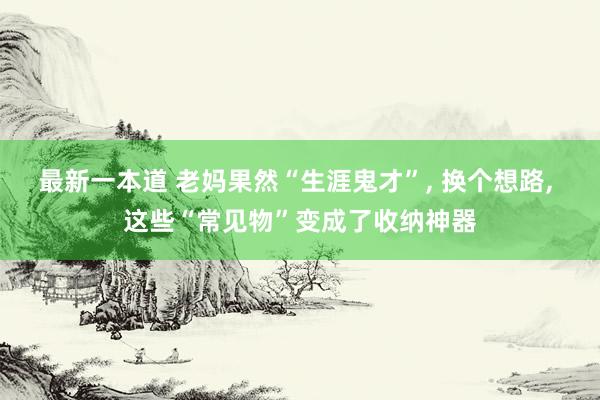 最新一本道 老妈果然“生涯鬼才”， 换个想路， 这些“常见物”变成了收纳神器